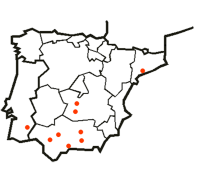 Rete commerciale Spagna e Portogallo