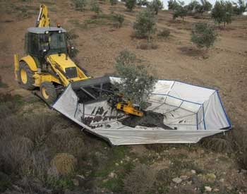 Sistema Integral de Recolección - SIR Sistema Integral de Recolección - SIR