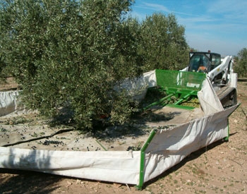 Sistema Integral de Recolección - SIR Sistema Integral de Recolección - SIR