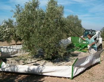 Sistema Integral de Recolección - SIR Sistema Integral de Recolección - SIR