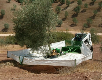 Sistema Integral de Recolección - SIR Sistema Integral de Recolección - SIR