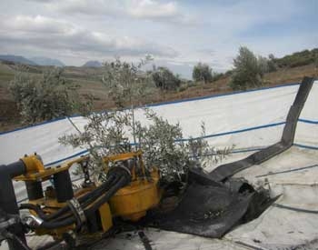 Sistema Integral de Recolección - SIR Sistema Integral de Recolección - SIR